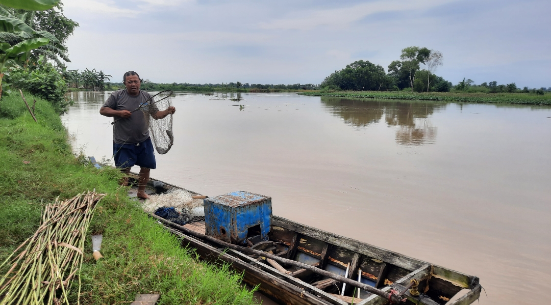 Ribuan Ikan Sungai Mati Mendadak