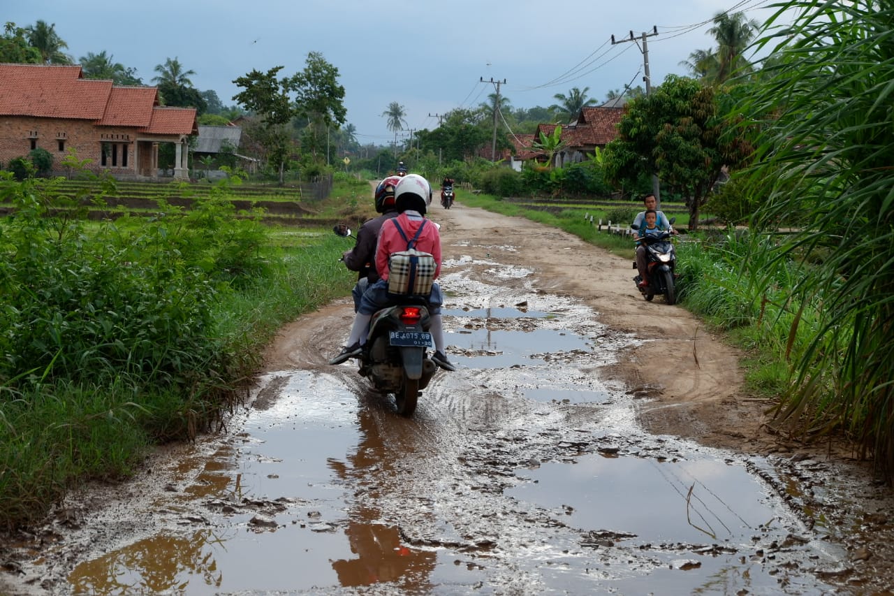 Jalan Poros Desa Kresnoaji Dalam Kondisi Rusak Parah