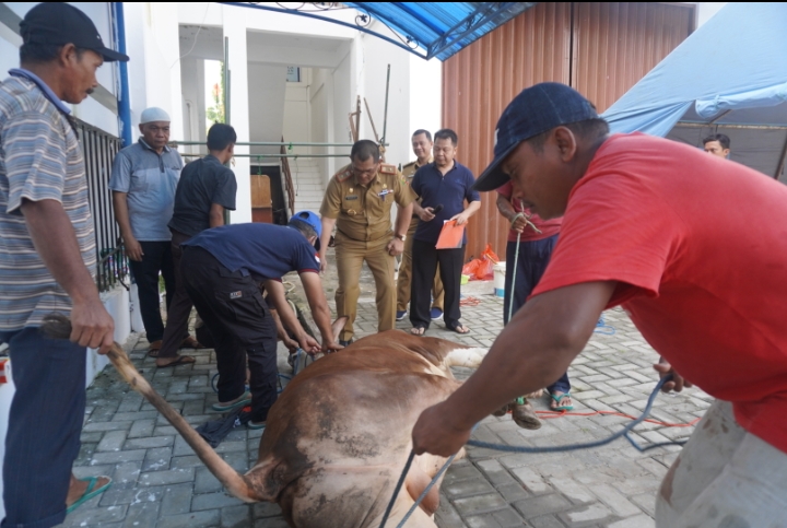 Dinsos Lampung Kurban 3 Sapi dan 2 Kambing, Aswarodi Apresiasi Pegawai Semangat Berkurban