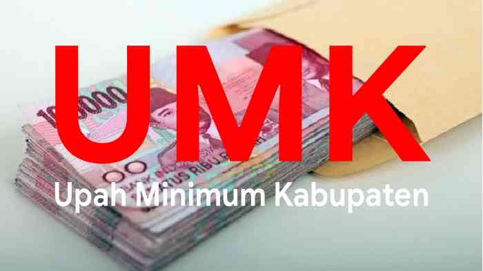 UMK Lamsel Tertinggi Kedua se-Lampung