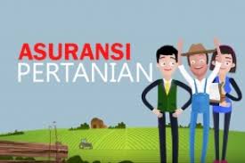 Petani Harus Daftar AUTP