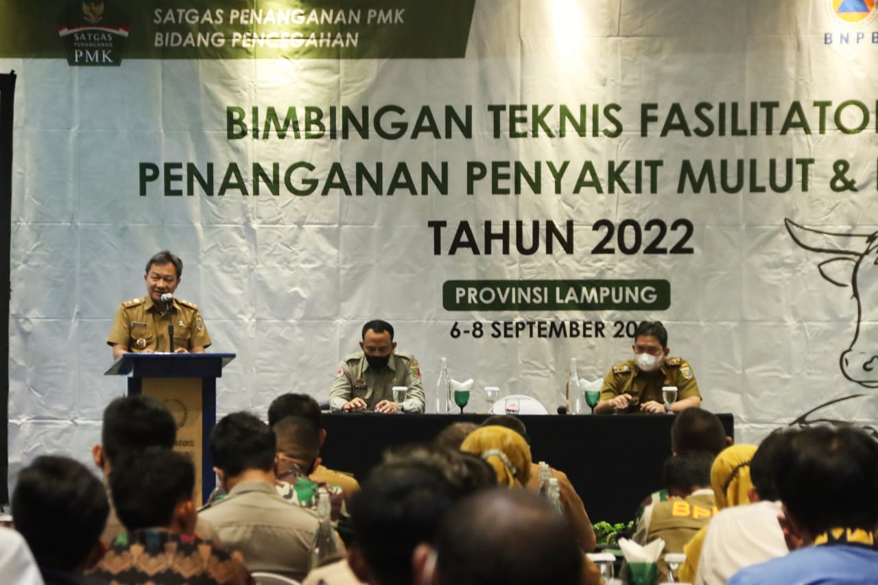 Pemprov Lampung Gelar Bimbingan Teknis Penanganan Penyakit Mulut dan Kuku