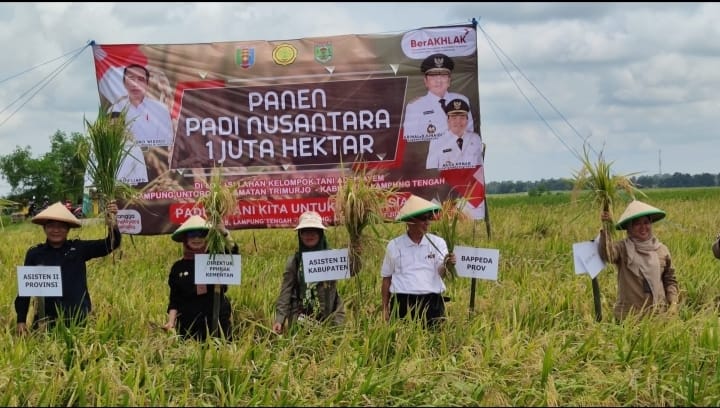 Kusnardi, mewakili Gubernur Lampung menghadiri Panen Raya Nusantara di Kelompok tani Adem Ayem,